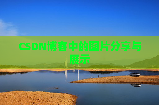 CSDN博客中的图片分享与展示